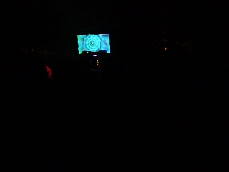 Screens in d Forest